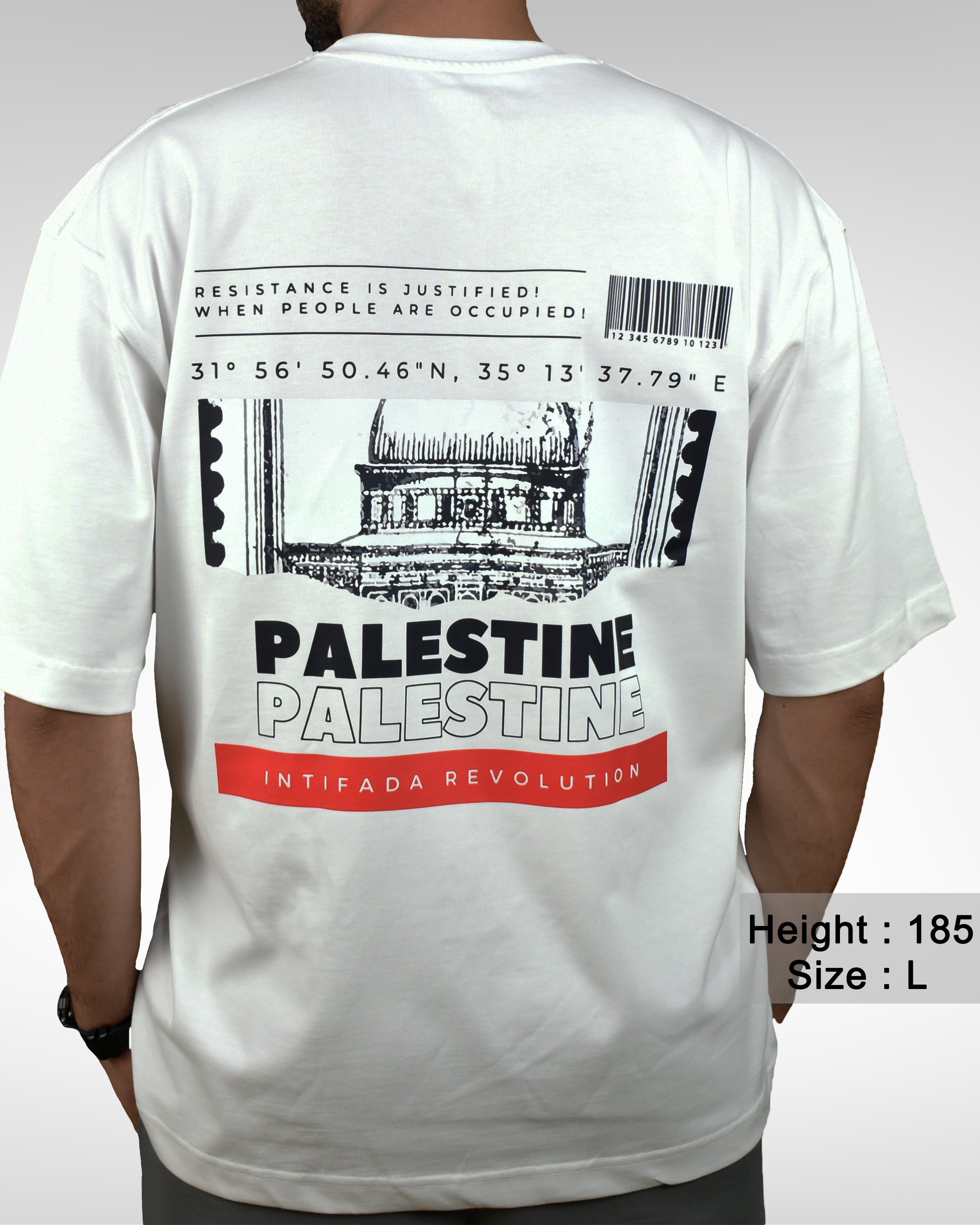 Palestine Coordinates Oversized Tshirt