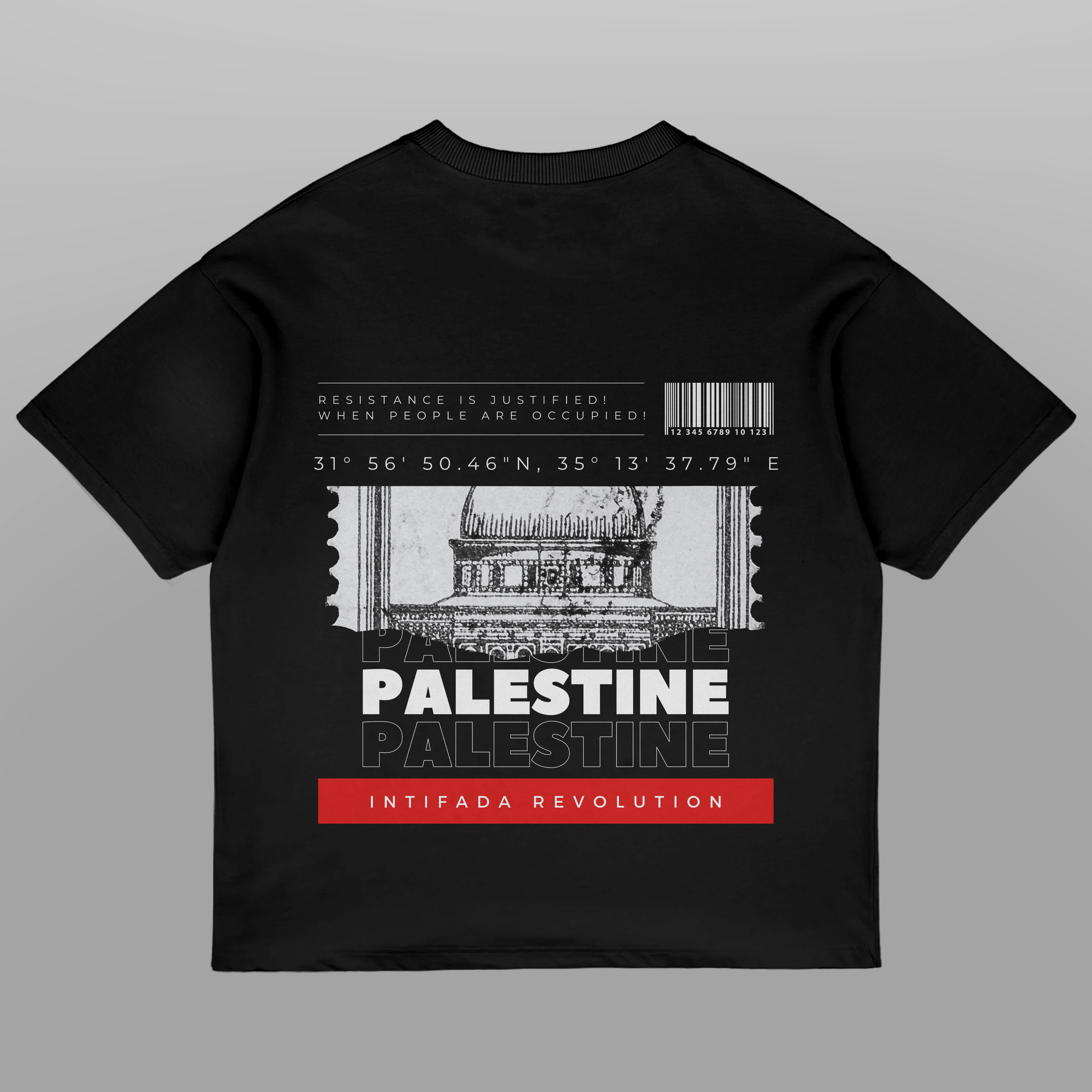 Palestine Coordinates Oversized Tshirt