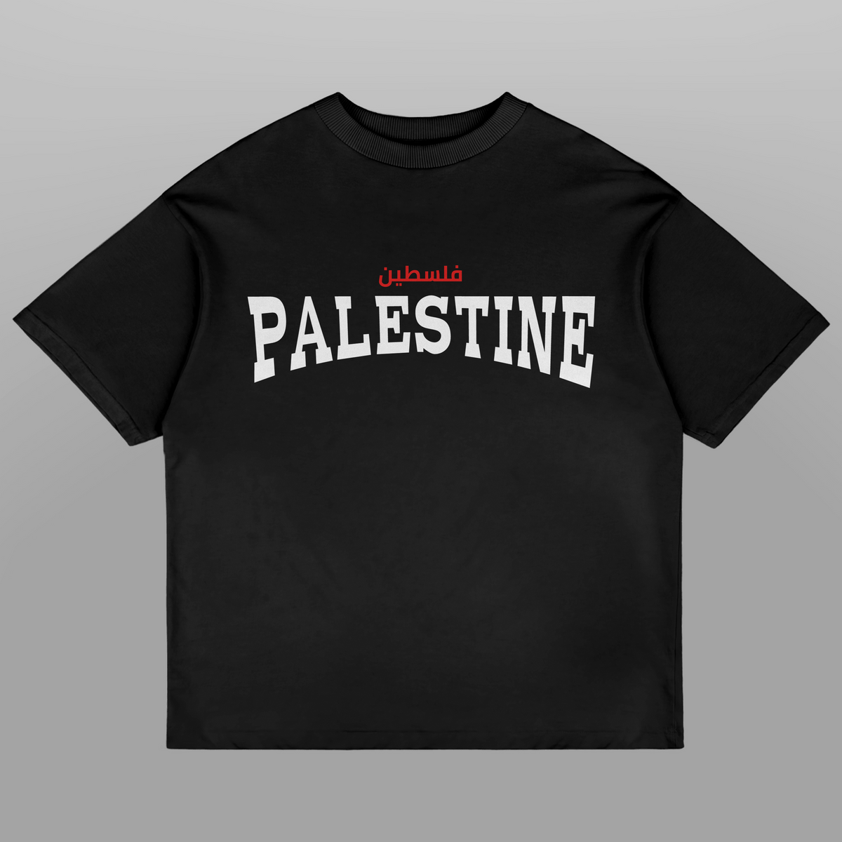 Palestine Coordinates Oversized Tshirt