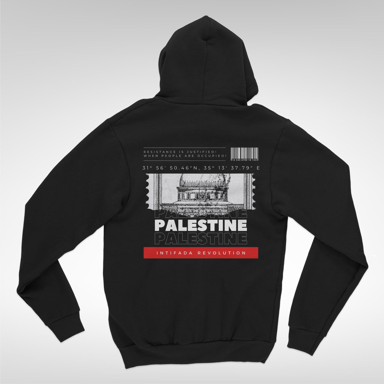 Palestine Coordinates Hoodie