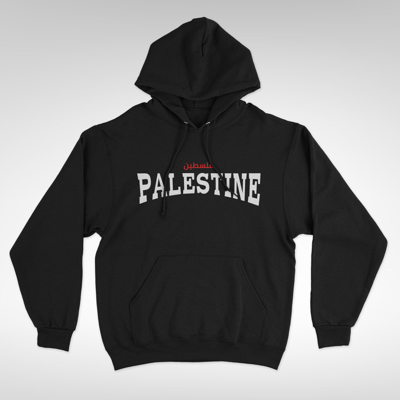 Palestine Coordinates Hoodie