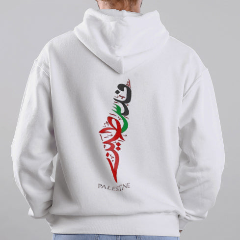 Sweat à capuche surdimensionné imprimé Palestine en carte arabe